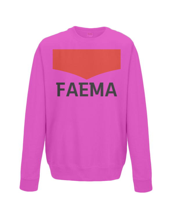 faema kids cycling sweatshirt pink