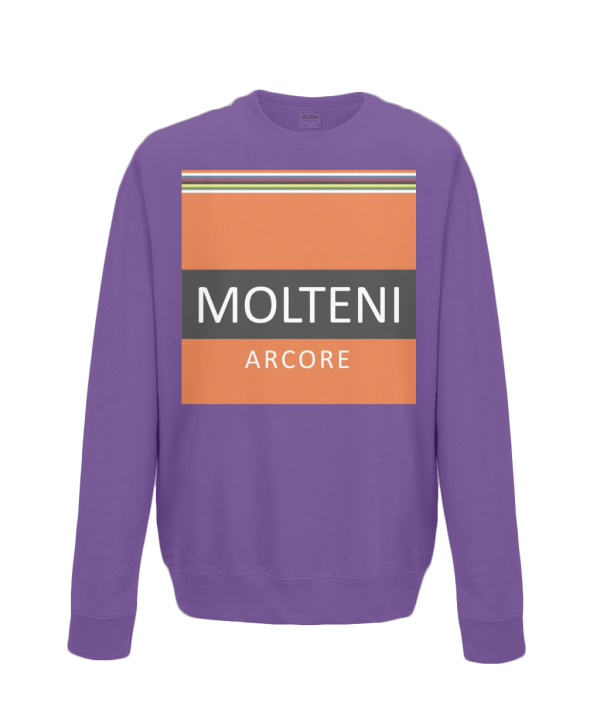 molteni kids cycling jumper purple