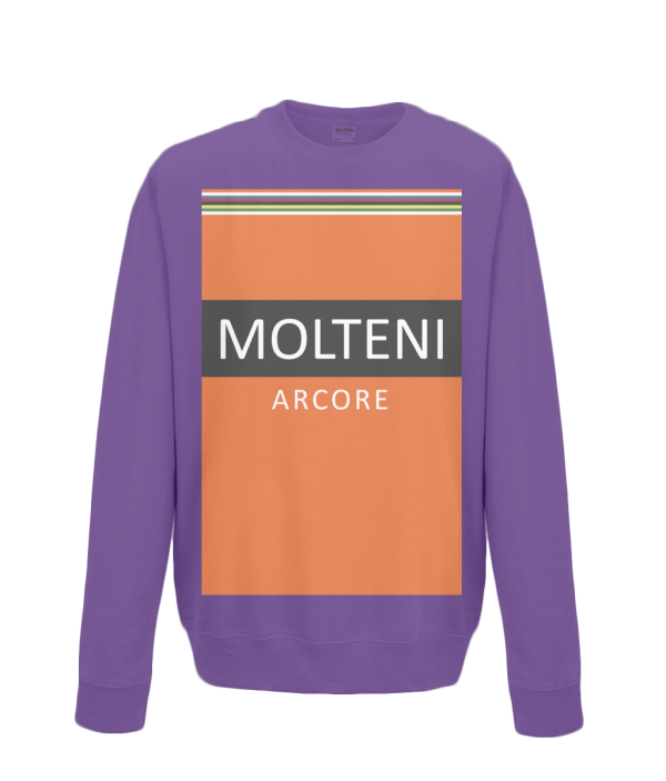 molteni cycling sweatshirt purple